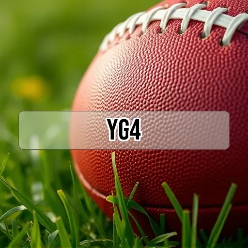 yg4.com Corrida